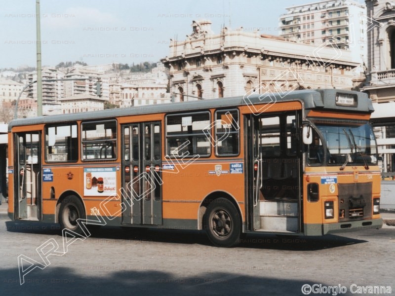 Veicolo 3124